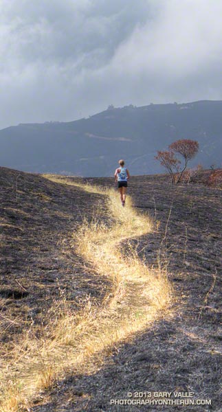Surprisingly, dry grass directly on the Serrano Valley Trail didn't burn. May 25, 2013.