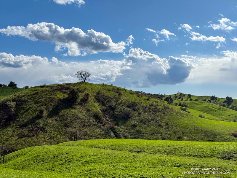 Green hills and clouds in Upper Las Virgenes Canyon Open Space Preserve