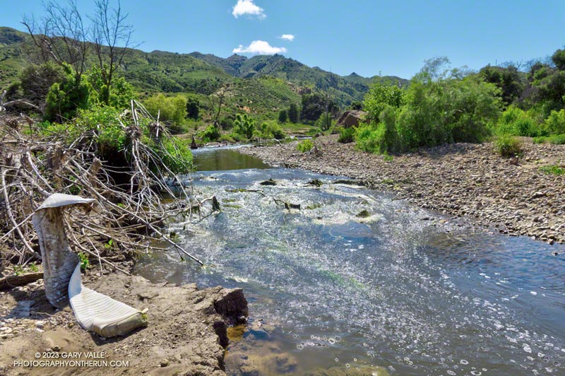 Malibu Creek near the M*A*S*H site. May 5, 2023.