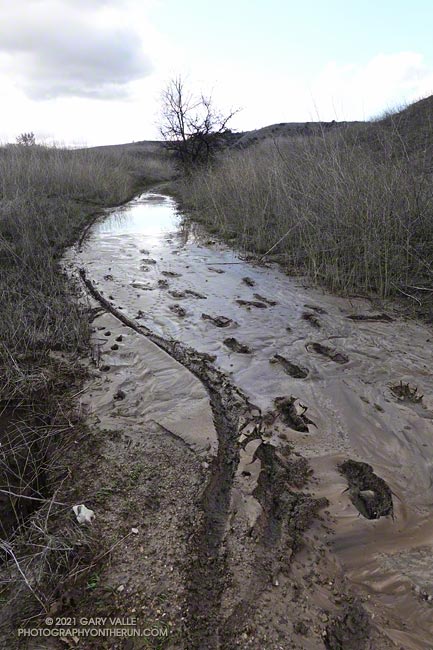 Muddy, wet section of East Las Virgenes Trail.  December 31, 2021.