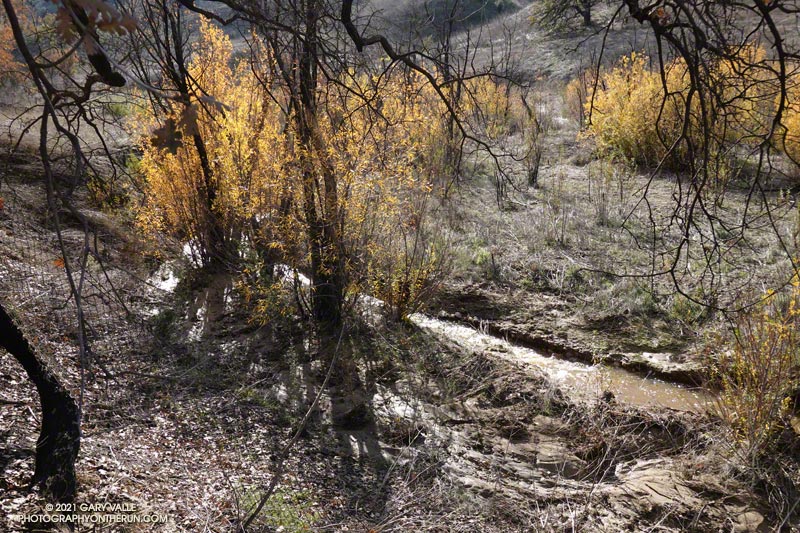 Section of upper Las Virgenes Creek that rarely flows.  December 31, 2021.