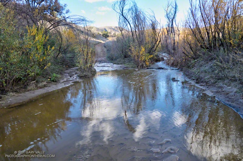 Water tends to pond at this crossing of upper Las Virgenes Creek,  south of the Cheeseboro connector. and can persist for many months. December 31, 2021. Click here for a few seconds of video.
