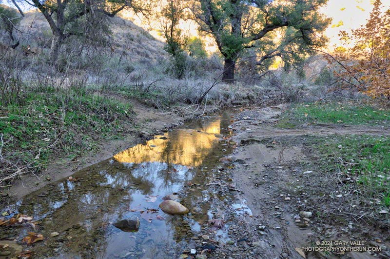 Flowing water in the headwaters of Las Virgenes Creek, along the Sheep Corral Trail.  January 6, 2021.