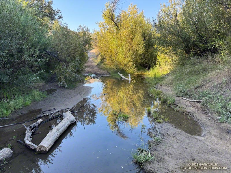Although T.S. Hilary's rainfall didn't significantly increase the short term flow of upper Las Virgenes Creek, the storm ensured the creek would have water into 2024. October 3, 2023.