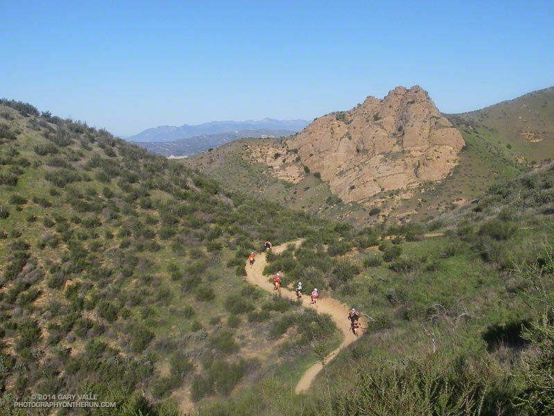 The Chumash Trail near mile 6 of the 50K and 30K. This is from last year -- notice the green? The 2.6 mile Chumash Trail downhill is one of the gems of the Bandit 50K and 30K courses.