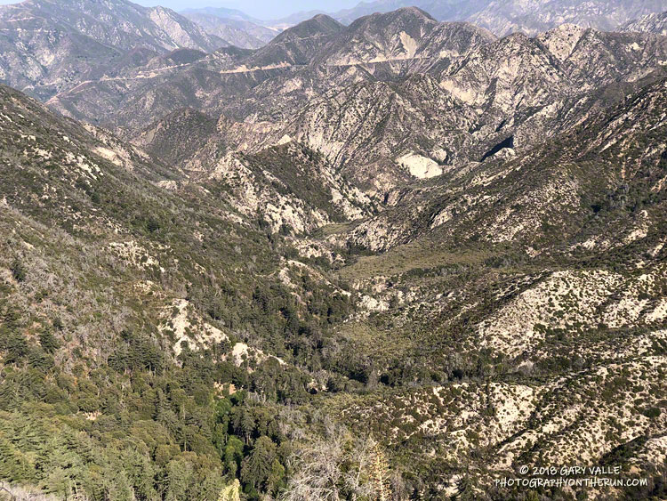 Bear Canyon from the upper Bear Canyon Trail.  Bear Canyon joins Arroyo Seco just downstream (left) of the prominent bare area that looks like a rock outcrop.