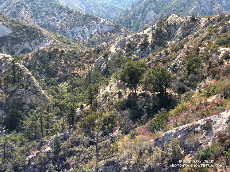 Arroyo Seco downstream of Switzer Falls. The confluence of Bear Canyon and Arroyo Seco is at the top of the photo,