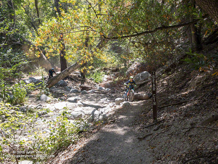 Mountain bikers working their way back out of Arroyo Seco near Bear Canyon.