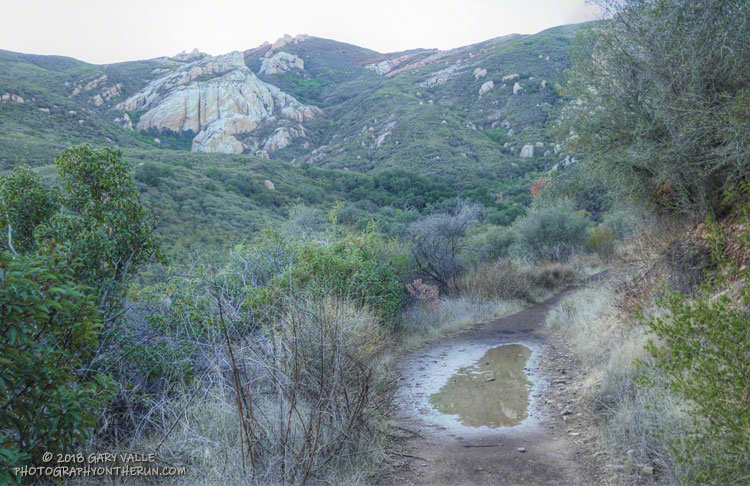 The north side of Boney Mountain from Danielson Road near it's junction with the Cabin Trail and Old Boney Trail. Most of the area pictured was not burned in either the Woolsey Fire or 2013 Springs Fire.