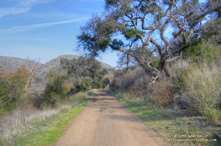 Sycamore Canyon Road, north of the Old Boney Trail.