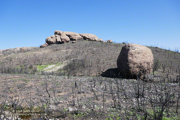 Badly burned area along the Backbone Trail, near the top of the Chamberlain Trail. March 24, 2019.