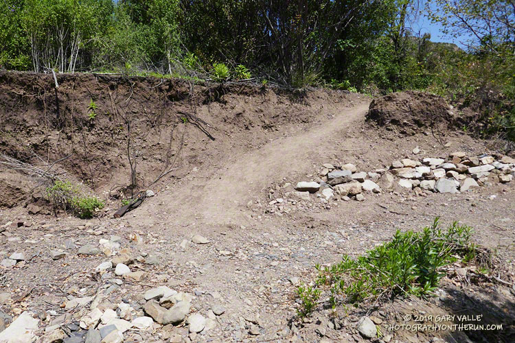 A section of the Upper Sycamore Trail that was recently repaired by the Santa Monica Mountains Trails Council. This section also had to be repaired in 2017.