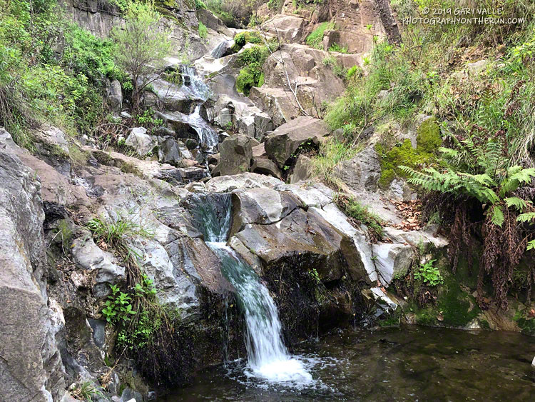 Winter's rains have temporarily rejuvenated the cascading waterfall in Upper Sycamore Canyon. The cascade is just off of Danielson Road, about 1.7 miles from the Satwiwa Wendy Drive trailhead. March 24, 2019.