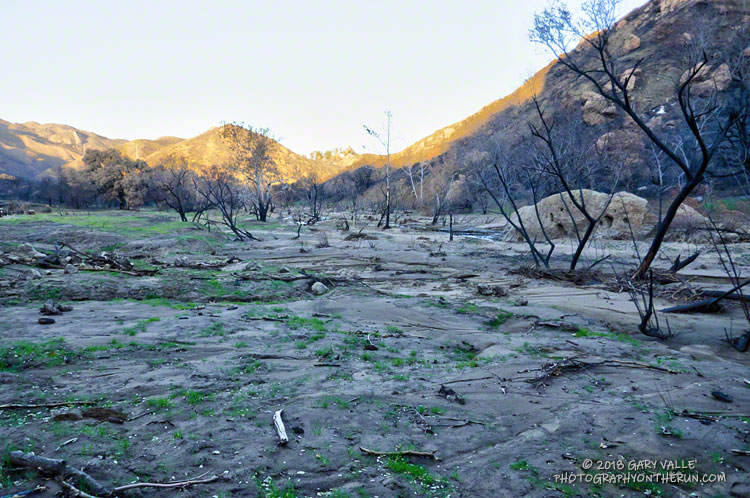 Malibu Creek  just east of the M*A*S*H site.  December 29, 2018.
