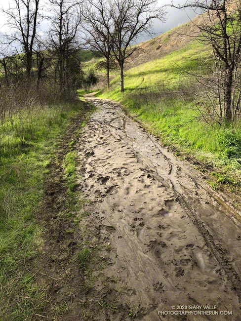 Muddy section of East Las Virgenes Canyon, about 1.5 miles from the Victory Trailhead.