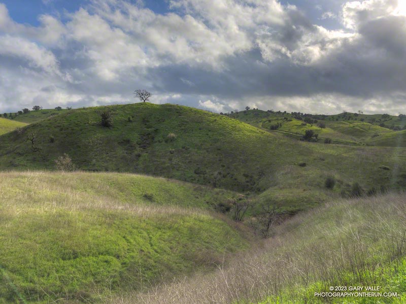 Hilltop valley oak and gathering clouds in  East Las Virgenes Canyon, about a mile from the Victory Trailhead.