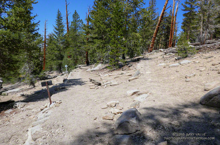 This is the junction you don't want to miss. The connector trail to upper Rock Creek forks right from the PCT.