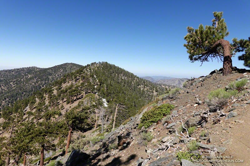 Mt. Hawkins, Throop Peak, and Mt. Burnham, from near Peak 9086. July 9, 2023.