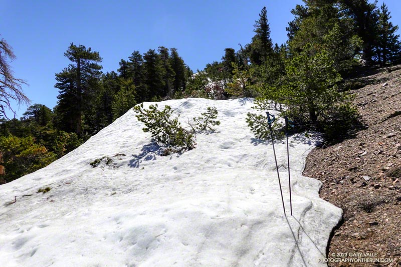 Snow at about 9100' on the west ridge of Mt. Baden-Powell. July 9, 2023.