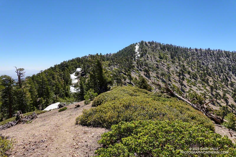 Snow in the lee of the crest, west of Mt. Baden-Powell. July 9, 2023.