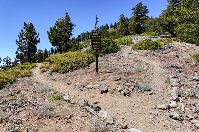 The PCT (left) and the trail leading to the summit of Throop Peak.
