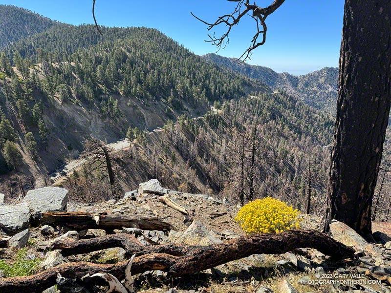 Angeles Crest Highway, west of Dawson Saddle. Much of the area north (right) of the highway was burned in 2020 Bobcat Fire. October 14, 2023.