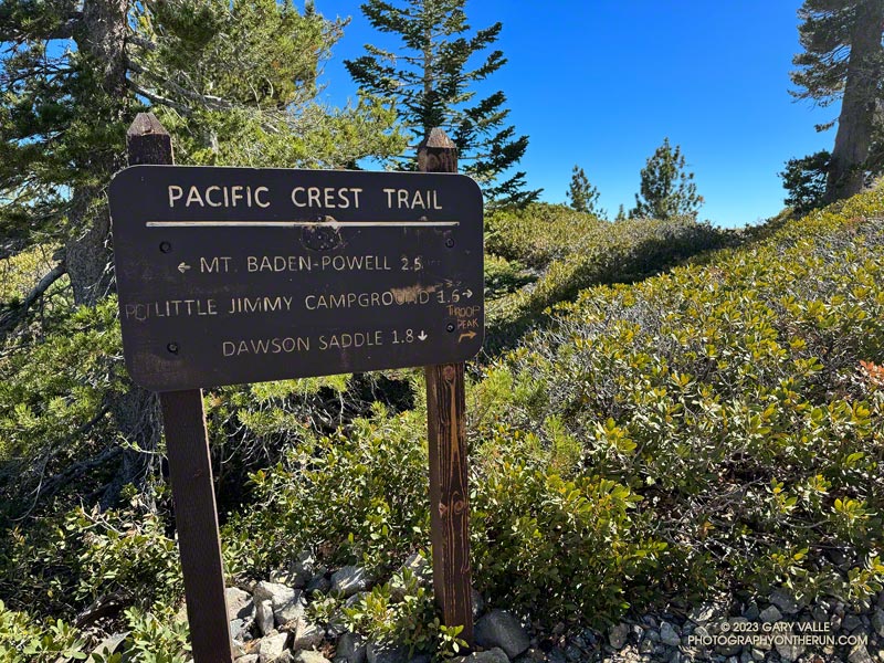 Junction of the Dawson Saddle Trail with the Pacific Crest Trail.