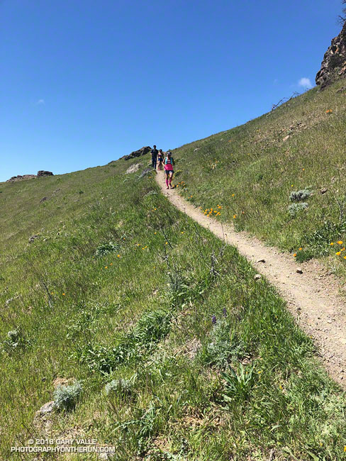 Runner descending the North Peak Trail near the Devil's Pulpit.