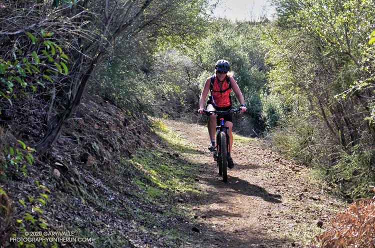 A mountain biker on a section of the Backbone Trail that wasn't burned in the 2018 Woolsey Fire.