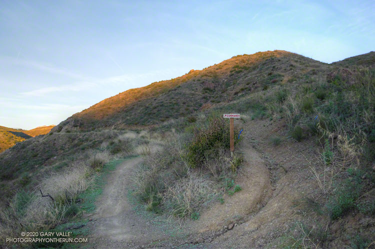 There were a number of signed side trails along the Backbone Trail between Encinal and Mulholland. The signs appeared to have been placed sometime after the Woolsey Fire.