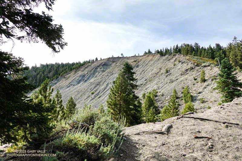 The headwall at the top of Heath Canyon of one of the Wright Mountain landslides. 