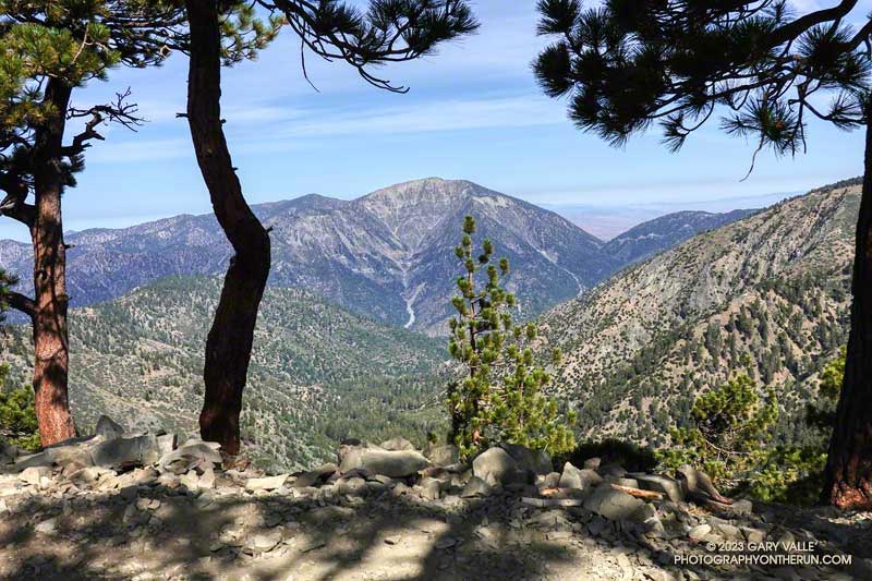 An idyllic spot to contemplate the world. Mt. Baden-Powell from Peak 8555 on Mt. Baldy's North Backbone trail.