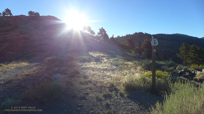 Early morning sun above Blue Ridge on the Pacific Crest Trail just east of Angeles Crest Highway at Inspiration Point.