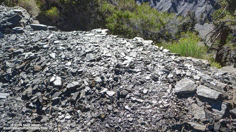 Shiny Pelona schist is the predominant rock in the area.