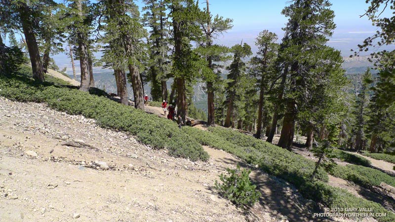 Hikers on the Mt. Baden-Powell segment of the Pacific Crest Trail.