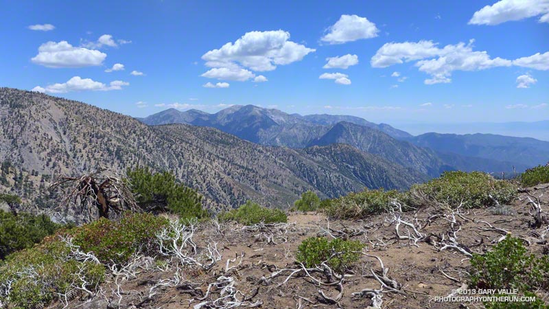It was a postcard day in the San Gabriels. Mt. Baldy is the peak in the distance. The manzanita in the foreground was burned in the 2002 Curve Fire.
