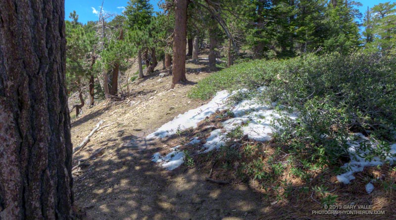 There were patches of "snow" above about 8000' from last Sunday's storm. The snow looked like it had been a mix of frozen rain, rime and snow that had fallen in large clumps from tree branches as it thawed. This small patch was on the PCT just east of Throop Peak at about 8600'.