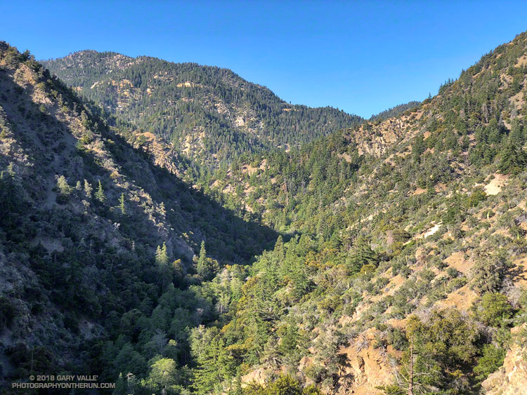 Looking back up the South Fork canyon from the South Fork Trail. Highway 2 and Mt. Islip can be seen at the head of the canyon.