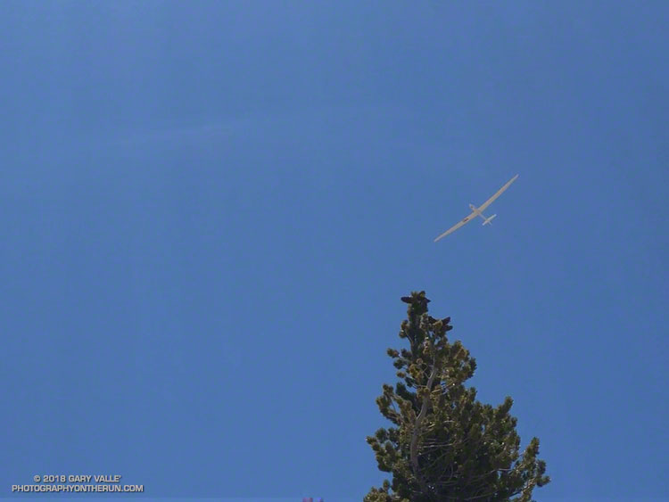 A sailplane thermaling above Mt. Baden-Powell.