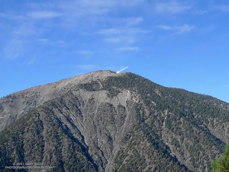 The white arrow indicates the location of the Wally Waldron Limber Pine on Mt. Baden-Powell.
