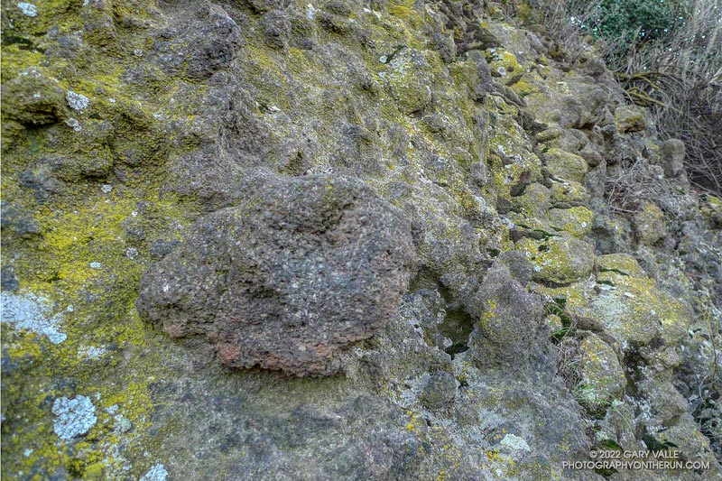 Knobby volcanic rock found on the north side , and other areas, of Ladyface.