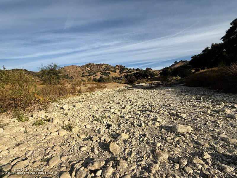 Didn't get my feet wet crossing Malibu Creek this time. October 26, 2024.