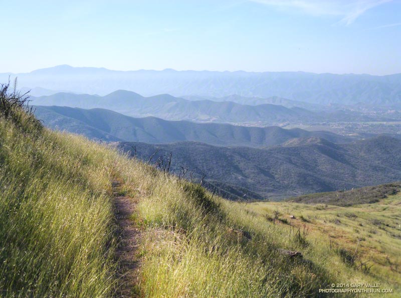 Contouring section of the PCT on the south side of Sierra Pelona Ridge. The San Gabriel Mountains are in the distance.