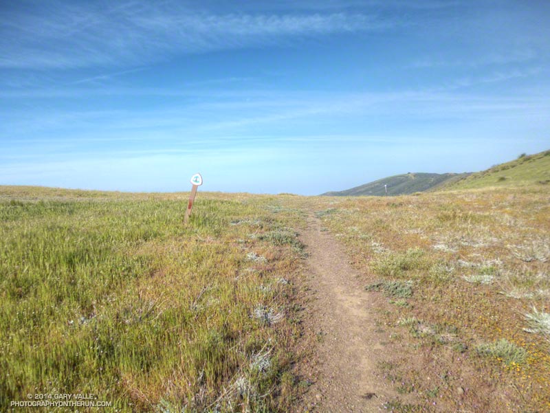 Pacific Crest Trail at high point on Sierra Pelona Ridge.