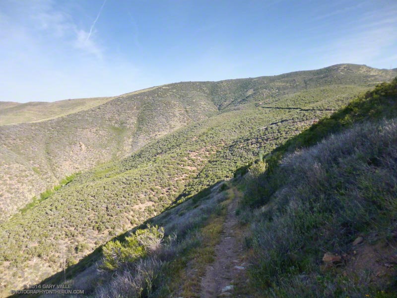 My turnaround point on the south side of Sierra Pelona Ridge.