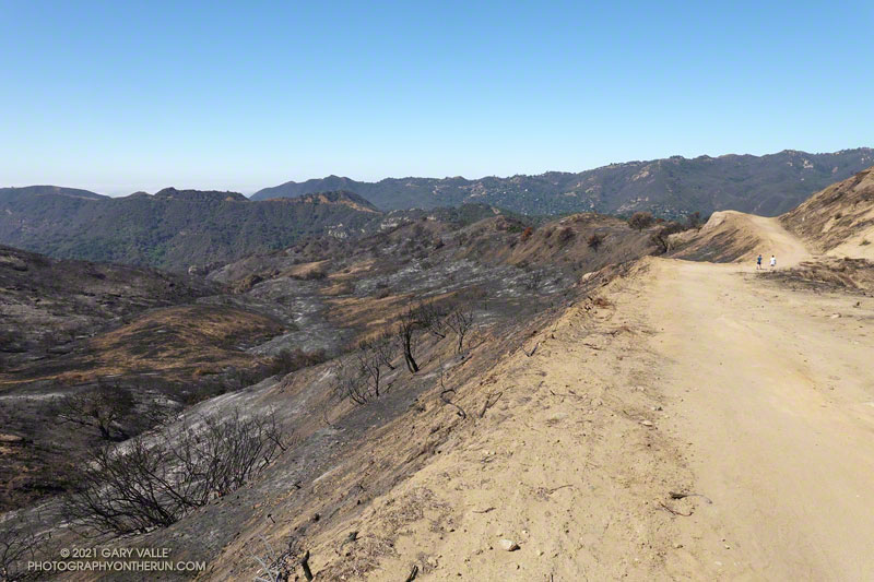 Upper Santa Ynez Canyon from Eagle Springs Fire Road. June 13, 2021.