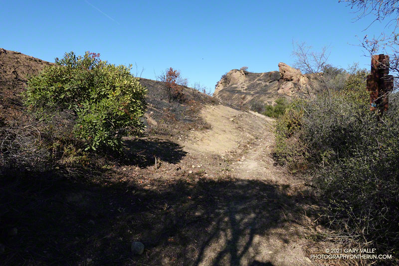 Only the top of the Garapito Trail, near Eagle Rock Fire Road, was burned in the Palisades Fire. June 13, 2021.