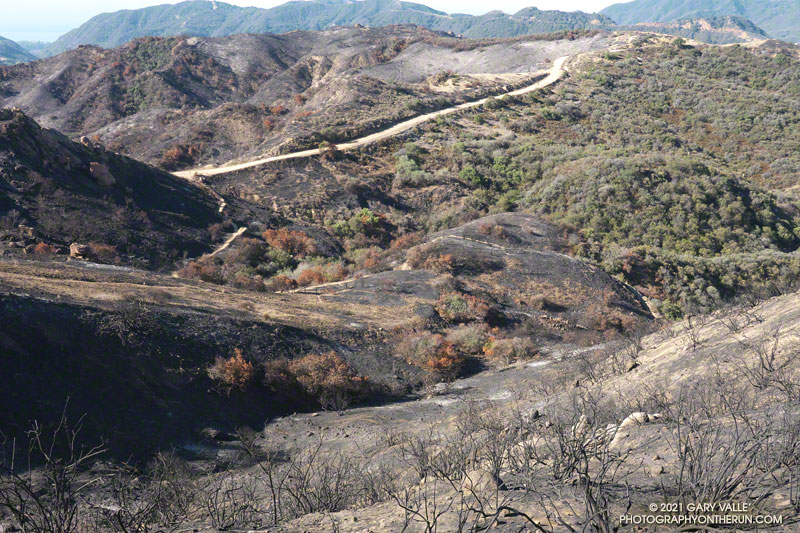 Looking down at the top of the Musch Trail from Eagle Rock Fire Road. June 13, 2021.