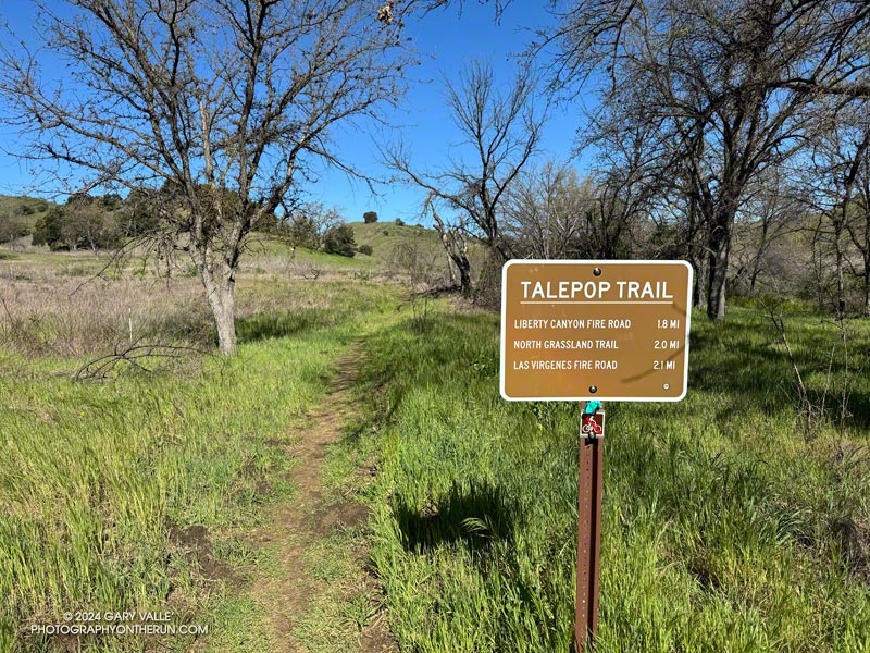 Trail sign at the junction of the Talepop Trail and the Las Virgenes Trail/Fire Road.