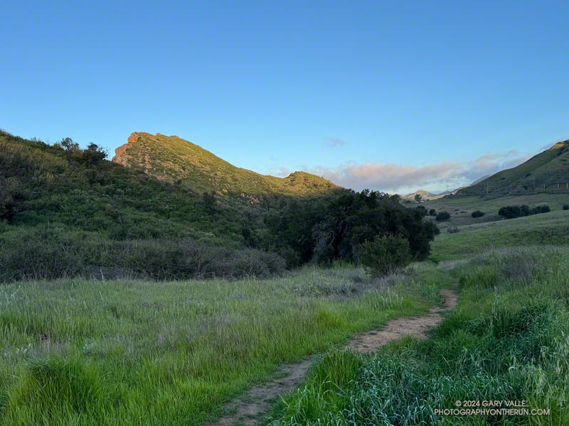 Continuing west on the Yearling Trail in the area of Reagan Ranch. This is near the top of the Cage Creek Trail.